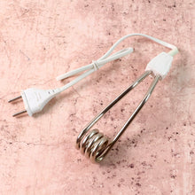 Portable immersion heater